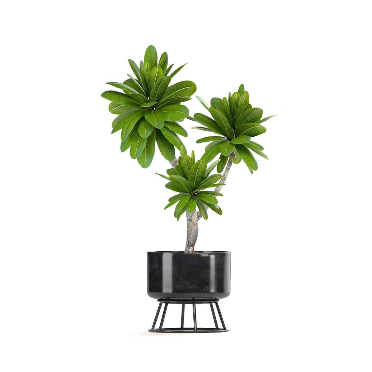 https://sukralandscaping.com/wp-content/uploads/2018/09/product_08-2.jpg